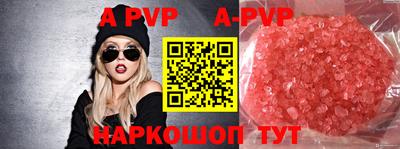 тгк Сланцы